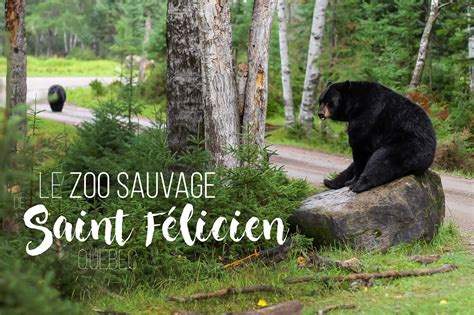 zoo sauvage st felicien tarife.